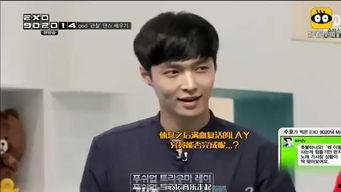 严宽娱乐节目,笑料百出，星光熠熠