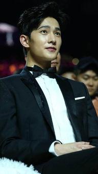 大叔明星照,明星风采瞬间捕捉