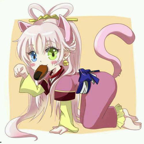 k动漫图片猫,K动漫猫的奇幻冒险之旅