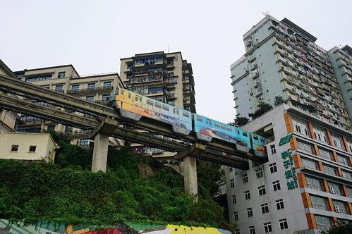 出身重庆的网红,山城儿女的互联网传奇