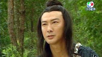 倚天屠龙记陈友谅演员,从反派到英雄的蜕变之路