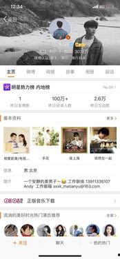 明星定位,揭秘明星定位与影响力塑造